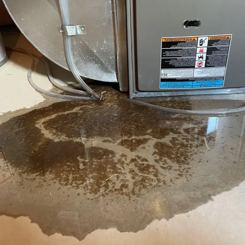 Pipe Burst and Leak Restoration in Harlan, IA