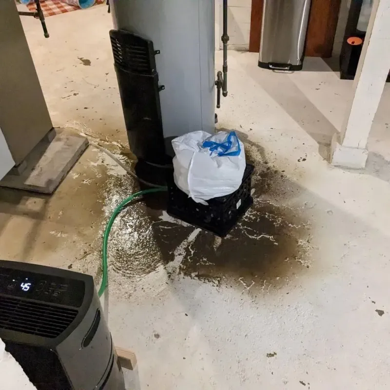 Sewage Backup Cleanup Service in Harlan, IA